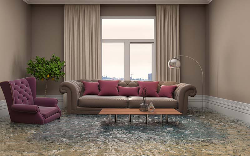 carpet cleaning in new York, carpet cleaning in new york, carpet cleaning new York, carpet cleaners in new York, carpet cleaners in new york, commercial carpet cleaning, commercial carpet cleaning in new York, new York rug cleaners, rug cleaning services in new York, same day carpet cleaning, same day rug cleaning