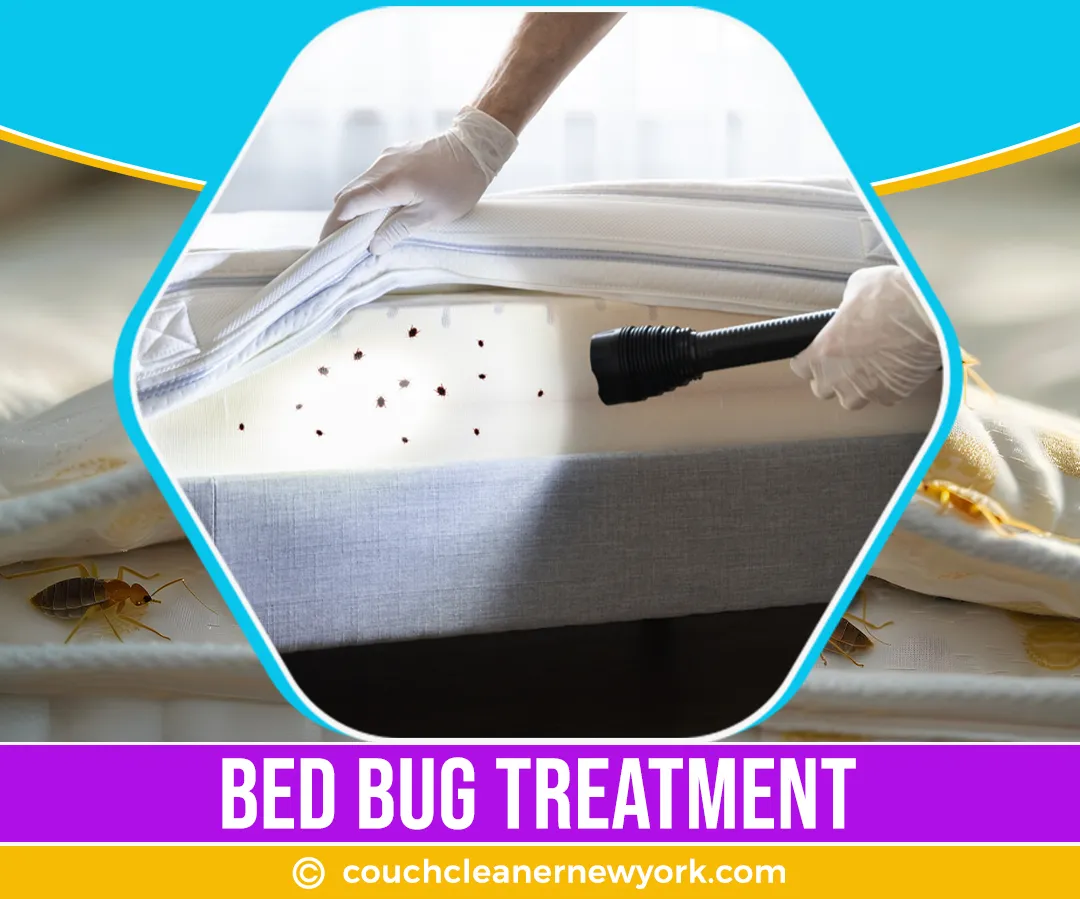 carpet cleaning in NYC, carpet cleaning in new york, carpet cleaning NYC, carpet cleaners in NYC, carpet cleaners in new york, commercial carpet cleaning, commercial carpet cleaning in NYC, NYC rug cleaners, rug cleaning services in NYC, same day carpet cleaning, same day rug cleaning